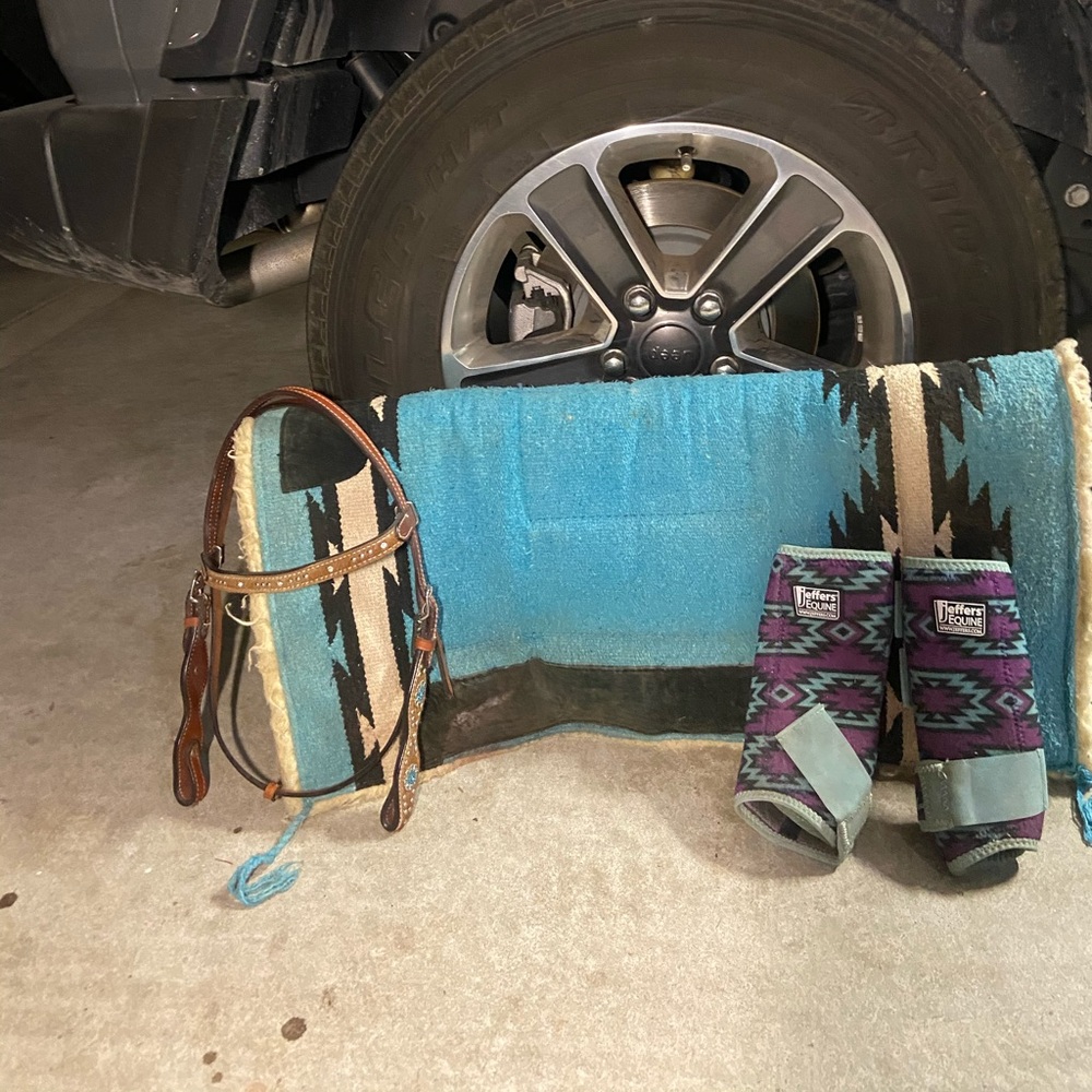 Horse tack! Western tack bundle